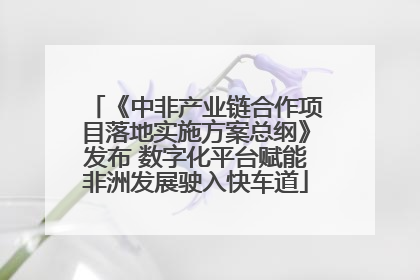 《中非产业链合作项目落地实施方案总纲》发布 数字化平台赋能非洲发展驶入快车道