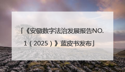 《安徽数字法治发展报告NO.1（2025）》蓝皮书发布