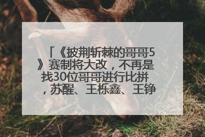 《披荆斩棘的哥哥5》赛制将大改，不再是找30位哥哥进行比拼，苏醒、王栎鑫、王铮亮、张远等多名男团选手被曝将参加
