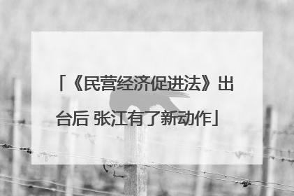 《民营经济促进法》出台后 张江有了新动作