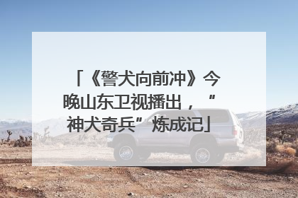 《警犬向前冲》今晚山东卫视播出，“神犬奇兵”炼成记