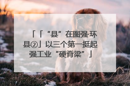 「“县”在图强·环县②」以三个第一挺起强工业“硬脊梁”