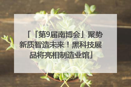 「第9届南博会」聚势新质智造未来！黑科技展品将亮相制造业馆