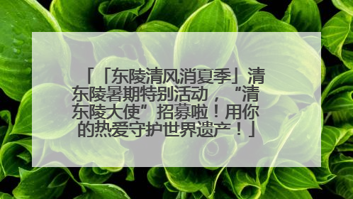 「东陵清风消夏季」清东陵暑期特别活动，“清东陵大使”招募啦！用你的热爱守护世界遗产！