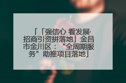 「强信心 看发展·招商引资拼落地」金昌市金川区：“全周期服务”助推项目落地