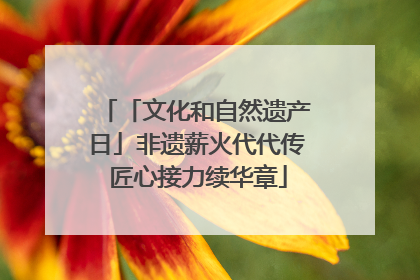 「文化和自然遗产日」非遗薪火代代传 匠心接力续华章