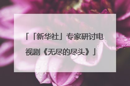 「新华社」专家研讨电视剧《无尽的尽头》