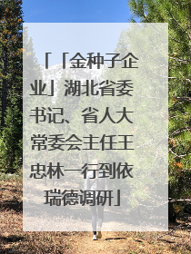 「金种子企业」湖北省委书记、省人大常委会主任王忠林一行到依瑞德调研