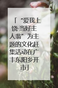 “爱我上饶·当好主人翁”为主题的文化赶集活动在广丰东阳乡开市