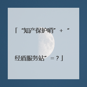 “知产保护哨”+“经盾服务站”=？