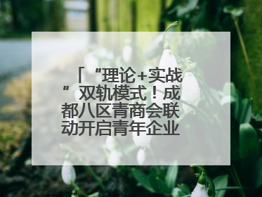 “理论+实战”双轨模式！成都八区青商会联动开启青年企业家培养计划