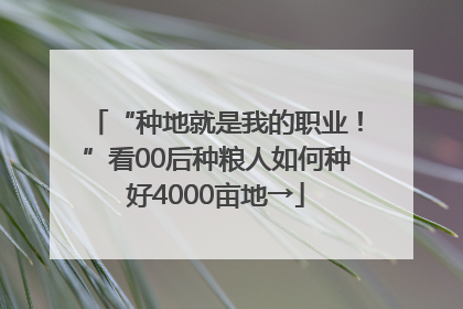 “种地就是我的职业！”看00后种粮人如何种好4000亩地→