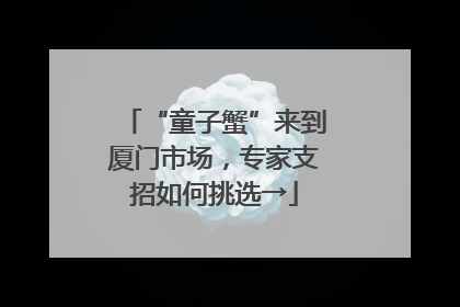 “童子蟹”来到厦门市场，专家支招如何挑选→