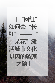 “网红”如何变“长红”——“一朵花”激活城市文化基因的破题之路