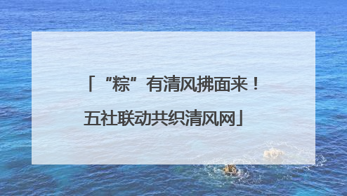 “粽”有清风拂面来！五社联动共织清风网