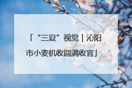 “三夏”视觉｜沁阳市小麦机收圆满收官