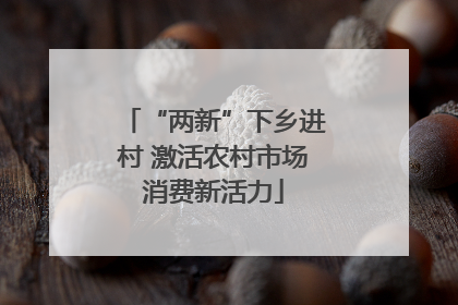 “两新”下乡进村 激活农村市场消费新活力