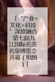 “产业+文化+科技”深度融合 第七届九江国际名茶名泉博览会开幕（组图）