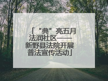 “典”亮五月 法润社区——新野县法院开展普法宣传活动
