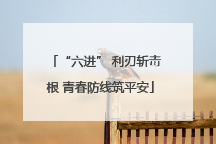 “六进” 利刃斩毒根 青春防线筑平安