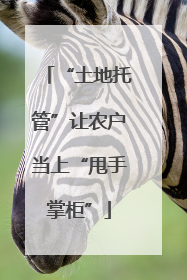 “土地托管”让农户当上“甩手掌柜”