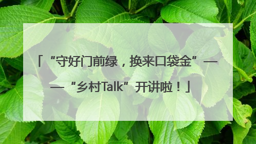 “守好门前绿，换来口袋金”——“乡村Talk”开讲啦！