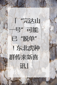 “完达山一号”可能已“脱单”！东北虎种群传来新喜讯