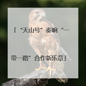 “天山号”奏响“一带一路”合作新乐章