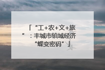 “工+农+文+旅”：丰城市镇域经济“蝶变密码”