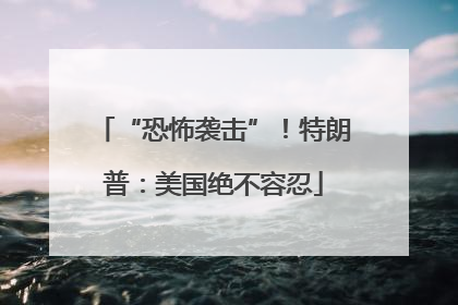 “恐怖袭击”！特朗普：美国绝不容忍