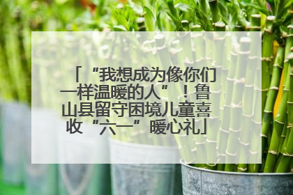 “我想成为像你们一样温暖的人”！鲁山县留守困境儿童喜收“六一”暖心礼