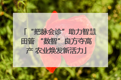 “把脉会诊”助力智慧田管 “数智”良方夺高产 农业焕发新活力
