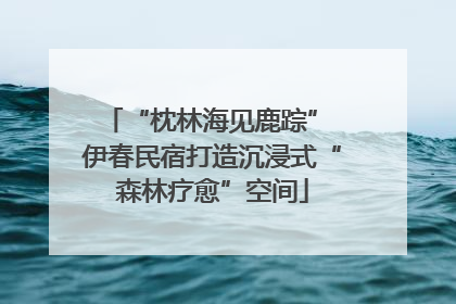 “枕林海见鹿踪” 伊春民宿打造沉浸式“森林疗愈”空间