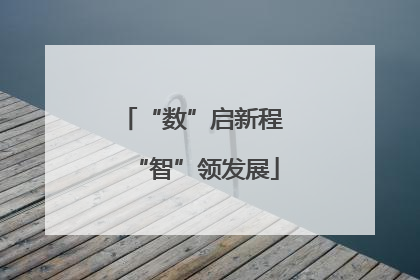 “数”启新程 “智”领发展