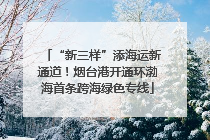 “新三样”添海运新通道！烟台港开通环渤海首条跨海绿色专线