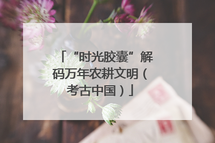 “时光胶囊”解码万年农耕文明（考古中国）