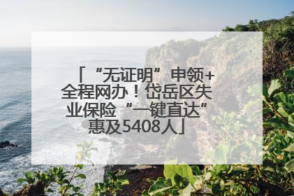 “无证明”申领+全程网办！岱岳区失业保险“一键直达”惠及5408人