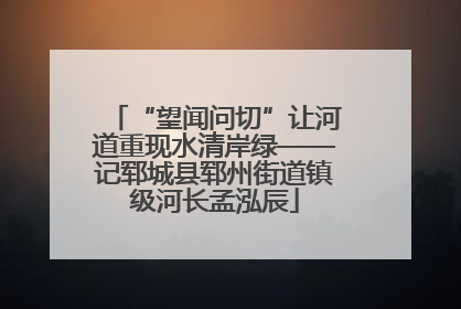 “望闻问切”让河道重现水清岸绿——记郓城县郓州街道镇级河长孟泓辰
