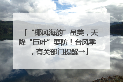 “椰风海韵”虽美，天降“巨叶”要防！台风季，有关部门提醒→
