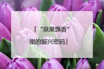 “泉果飘香”里的振兴密码