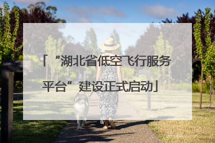 “湖北省低空飞行服务平台”建设正式启动