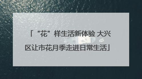 “花”样生活新体验 大兴区让市花月季走进日常生活