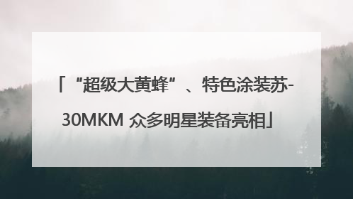 “超级大黄蜂”、特色涂装苏-30MKM 众多明星装备亮相