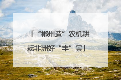 “郴州造”农机耕耘非洲好“丰”景
