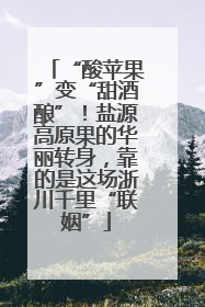 “酸苹果”变“甜酒酿”！盐源高原果的华丽转身，靠的是这场浙川千里“联姻”
