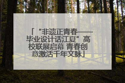 “非遗正青春——毕业设计话江夏”高校联展启幕 青春创意激活千年文脉