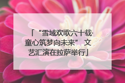 “雪域欢歌六十载·童心筑梦向未来” 文艺汇演在拉萨举行