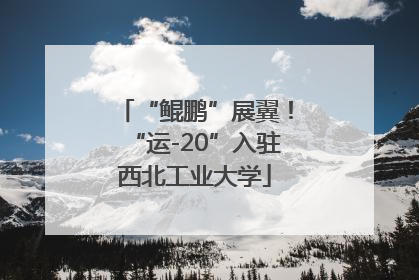 “鲲鹏”展翼！“运-20”入驻西北工业大学