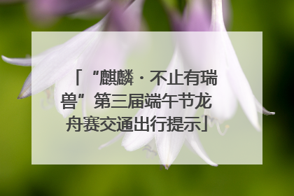 “麒麟・不止有瑞兽”第三届端午节龙舟赛交通出行提示