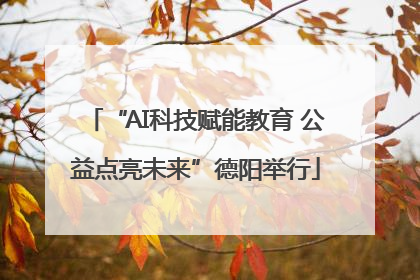 “AI科技赋能教育 公益点亮未来”德阳举行